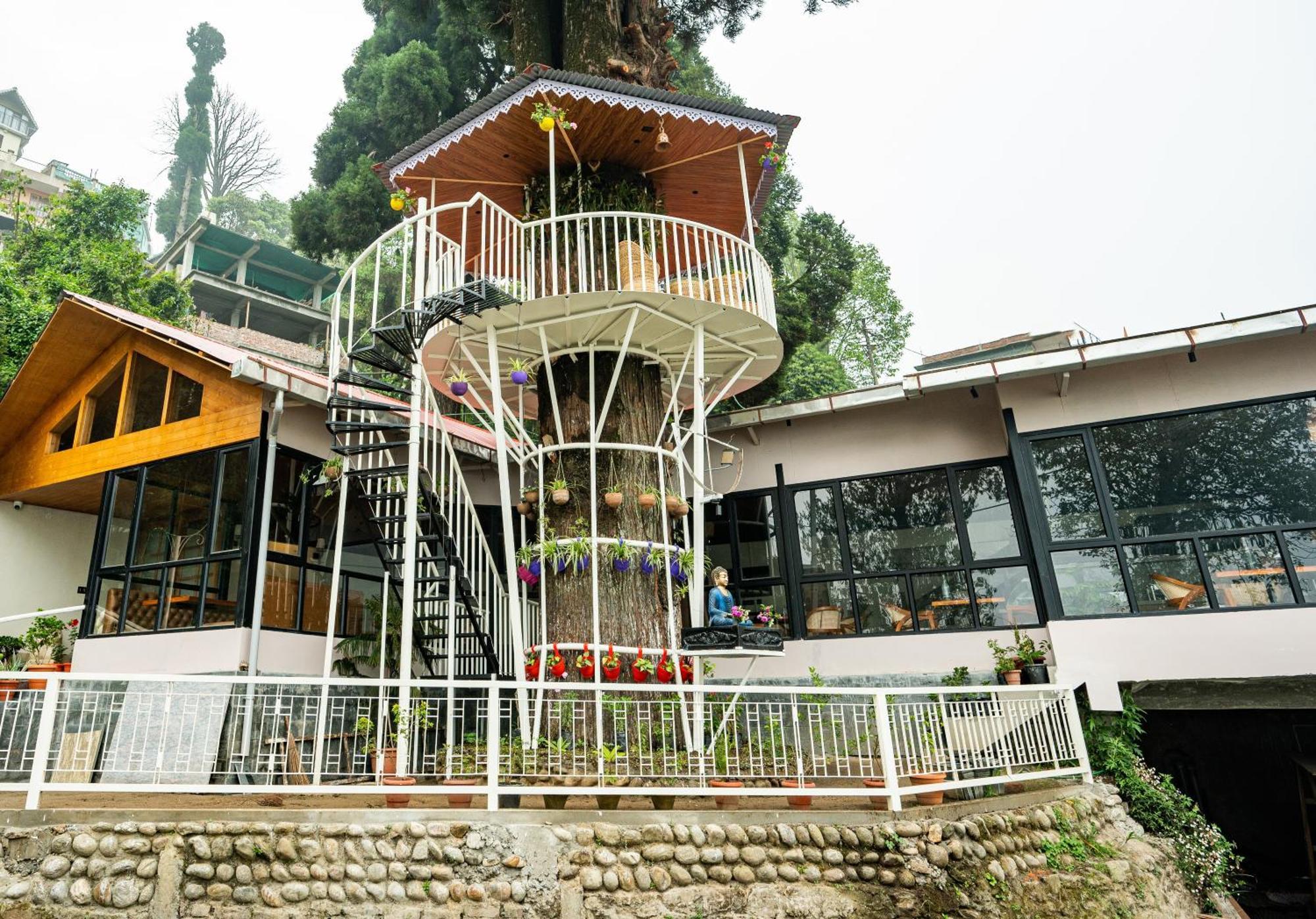 Arcadia Heritage Resort Darjeeling  Buitenkant foto